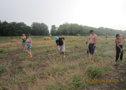 Красносільське лісництво